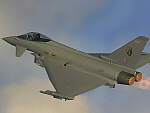 Eurofighter Typhoon, Professional